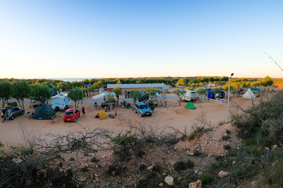 Vehicles parked next to their tents at a remote caravan park near the ocean.