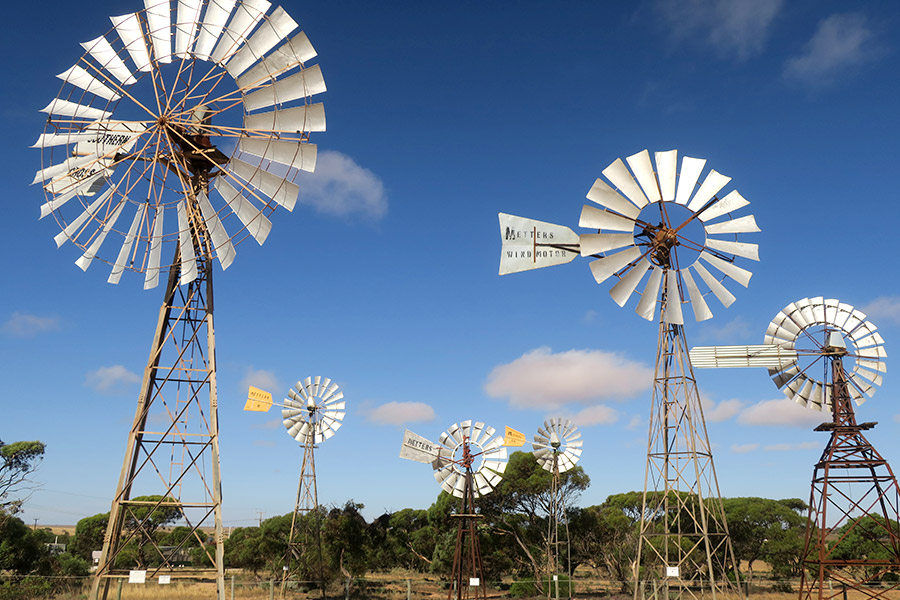 Dozens of windmills are scattered around the South Australian region near Penong and are used to pump water from the Anjutabie Basin. Six of the windmills on display at the Penong Windmill Museum.