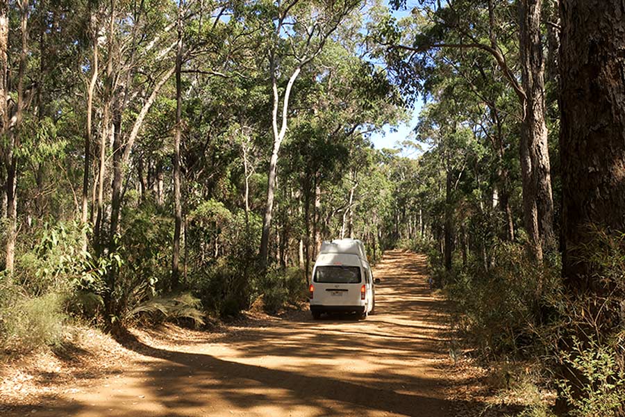 Jarrahdene campsite offers BBQ facilities and decent drop toilets. A white campervan driving along a well maintained forest track. There are tall trees either side.
