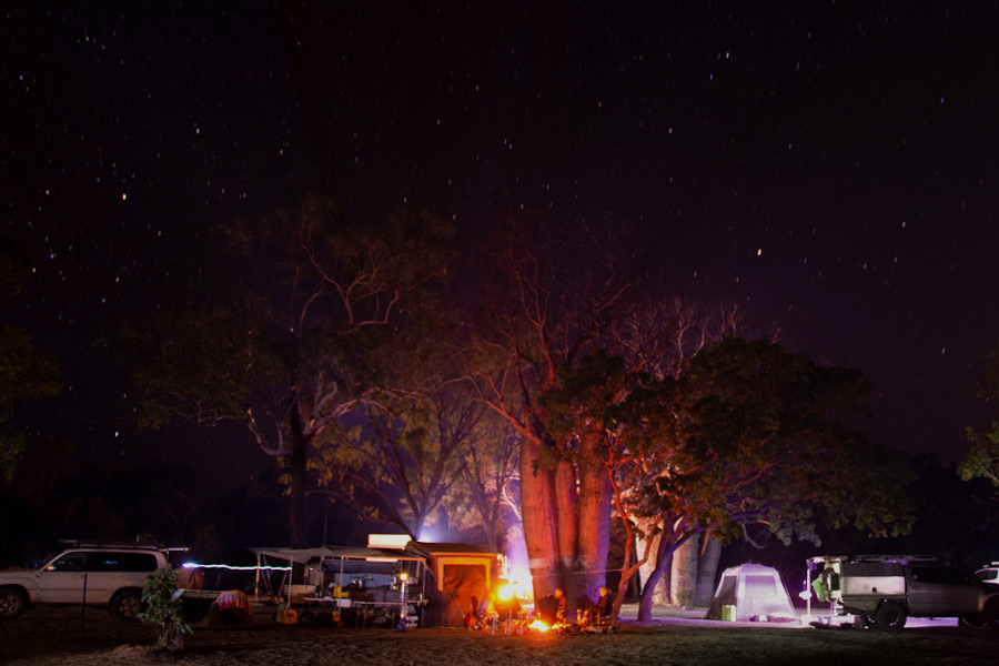 A group camping setup at night under a starlit sky with a campfire and Boab trees.