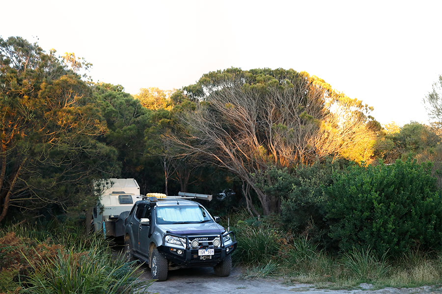 A 4WD vehicle towing a camper emerging from thick trees.