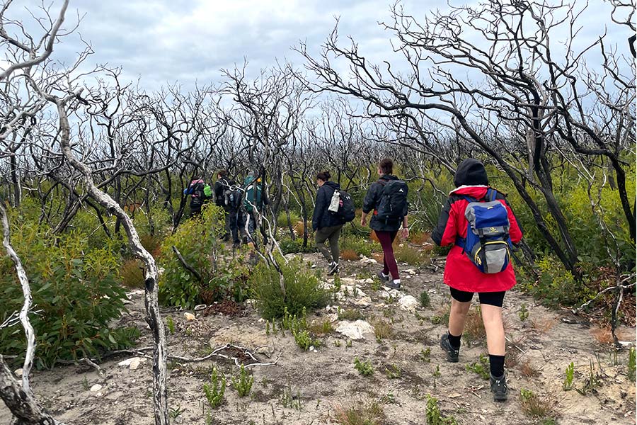 a behind shot of a group of walkers as they navigate an unmarked trail through Australian bushland.