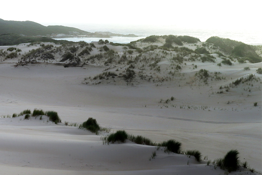 A coastal sandscape across dunes with ocean in the background.