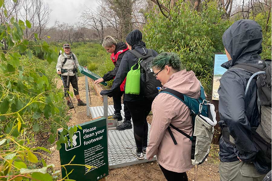 These stations are present near the trailheads in most National Parks and Conservation Parks. A small group of walkers waiting their turn at the footwear cleaning station to stop the spread of weeds post bushfire.