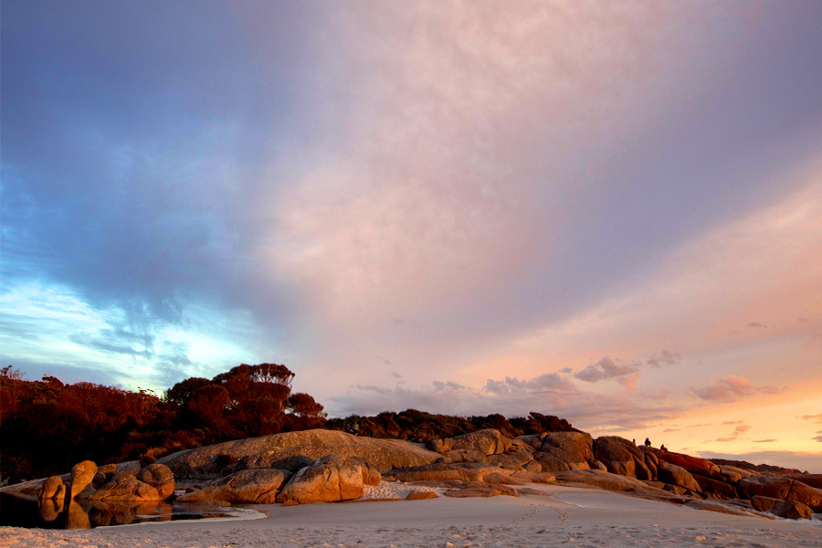 A sunrise over sand and smooth coastal boulders with trees behind. The sky is a mix of yellow, gold, white, pink and blue shades broken with clouds.