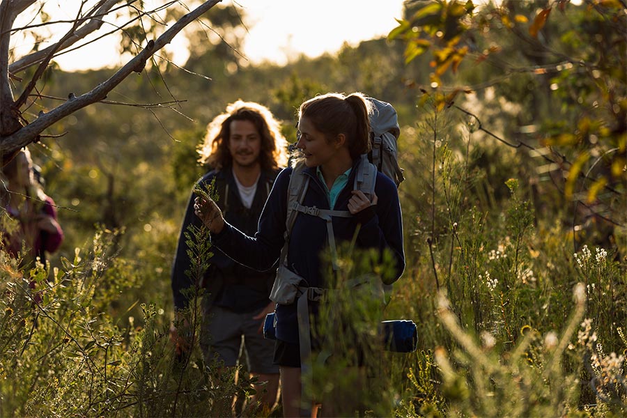 A male and female hiker surrounded by bush. Their hair is glowing the the morning sunlight and the female is gently touching and admiring a native plant.