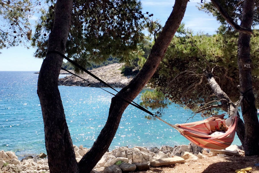 A relaxed tropical setting with a person reading a book and lying in a hammock strung up between trees. There's the sparkling aqua ocean in the background.
