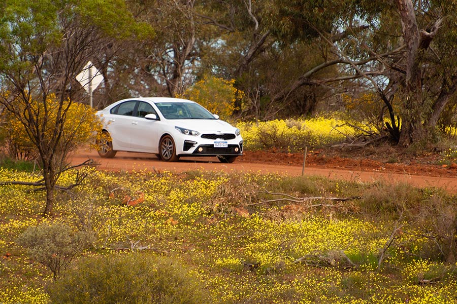 A white sedan is parked on a dirt track surrounded by bush and yellow wildflowers.