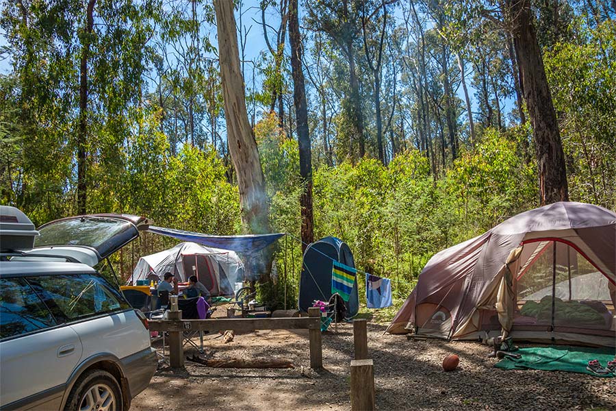 A campsite scene with a 4WD vehicle in the bottom left of frame and two family tents set up apart from each other. There's the smoke from a campfire, tables and chairs scattered about, a couple of people sitting to the left, a clothes;line with towels drying, and a pop-up shower tent at the back of frame. The background has thick bush and gumtrees.