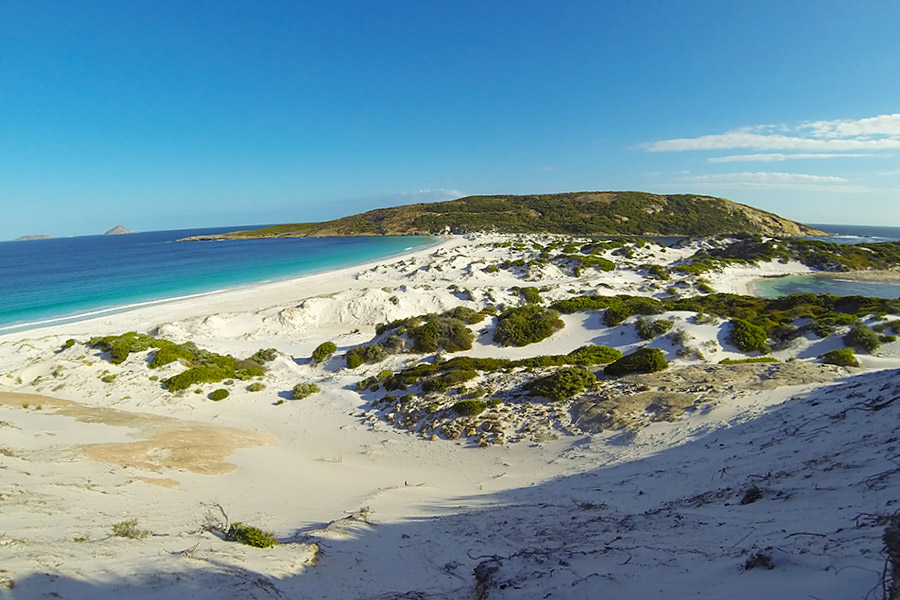 A remote stretch of coast showing deserted sand dunes, shrubs, blue ocean and blue sky.