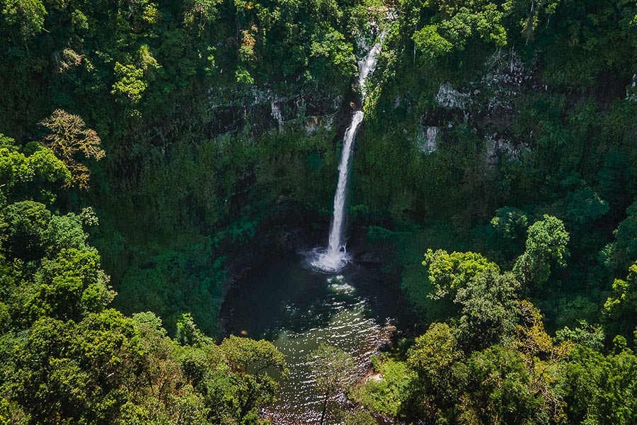An overhead shot of a waterfall shows shades of vivid yellow greens and darker patches, trees clustered together and a stream of water tumbling into a pool from the rockface.