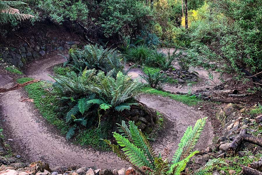 Derby has established large trail network, transforming the town into one that centres around MTB tourism. An overhead view of a winding, muddy track, snaking through green flora and fauna.