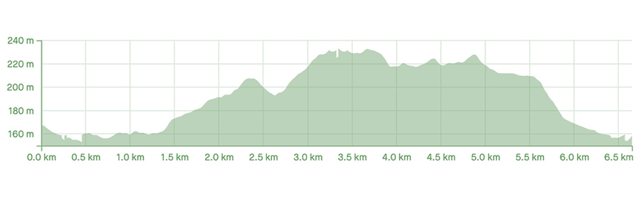 Whilst there was a bit of climbing involved, the loamy trails made for much easier riding. A graph shaded in green indicates elevation profile of a bike rider over 6.5 kilometres.