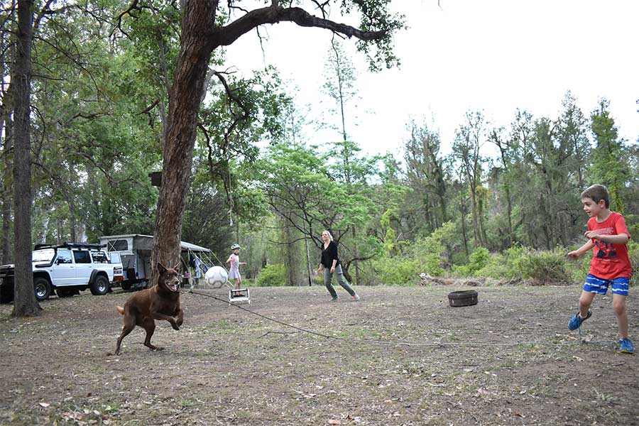 Kids playing with their dog outdoors.