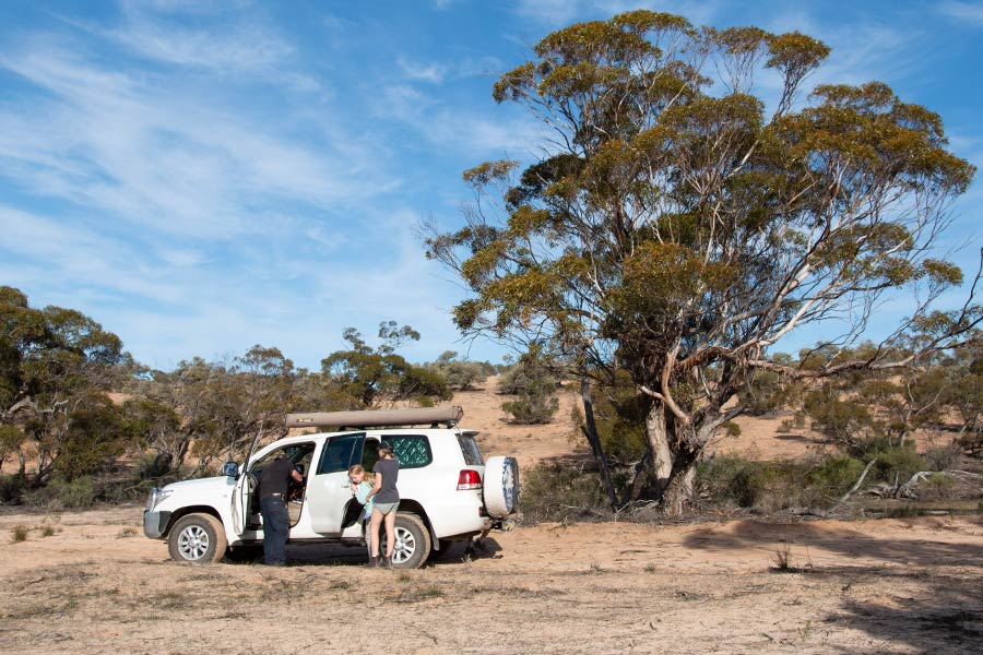 A family hopping out of the car in the middle of the outback.